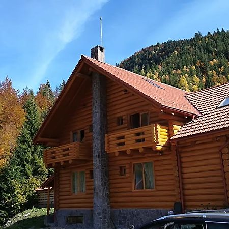 Pensiunea Izbucul Tauz Ghetari Экстерьер фото